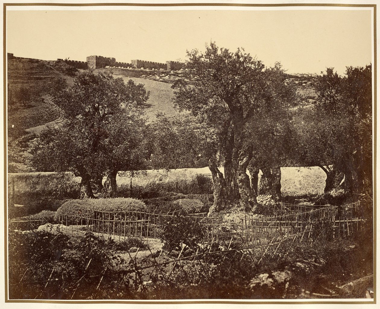 Ogród Getsemani autorstwa James Robertson