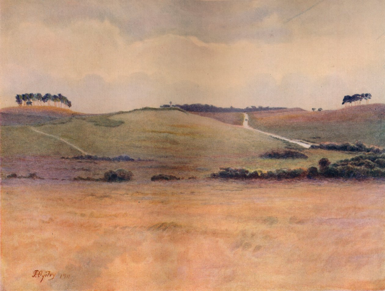 „Cobham Common”, 1911, 1914 autorstwa James S Ogilvy