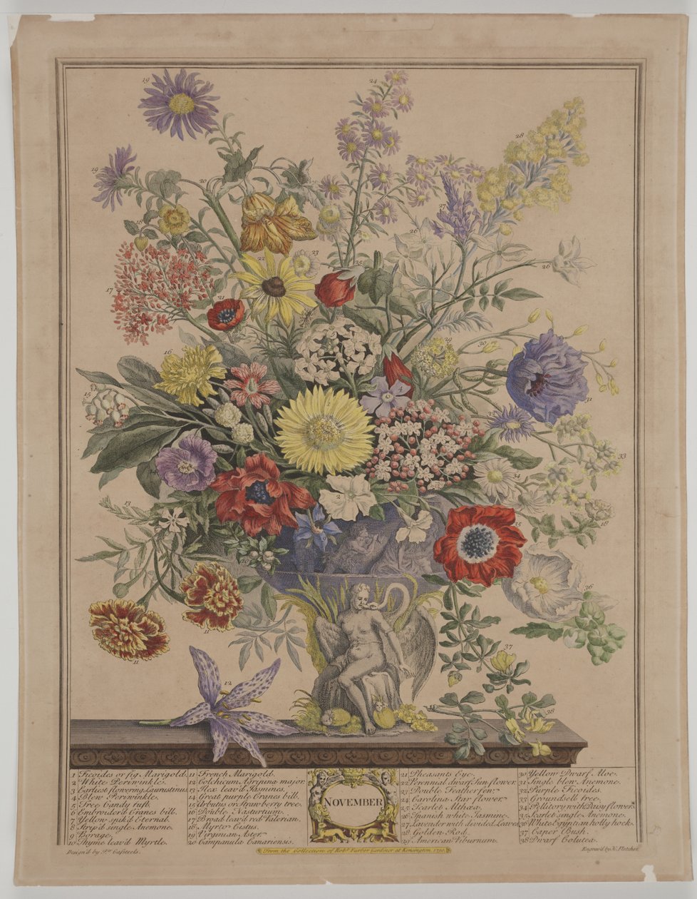 marraskuuta 1730 puolaa autorstwa James Smith