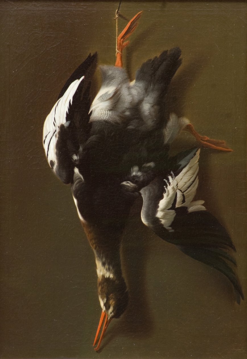 Martwy ptak, c.1815 (olej na płótnie) autorstwa James Thom