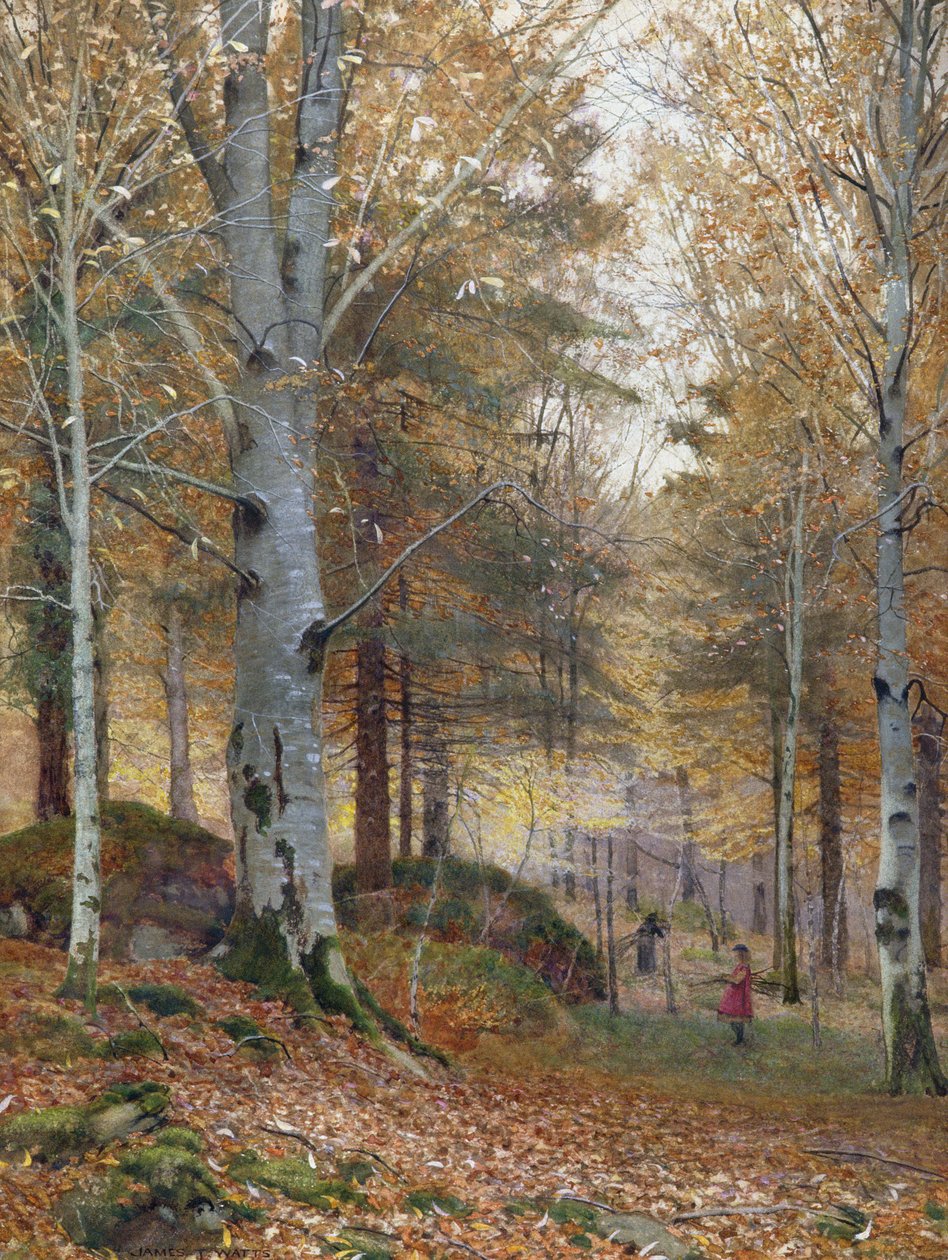 Jesień w lesie autorstwa James Thomas Watts