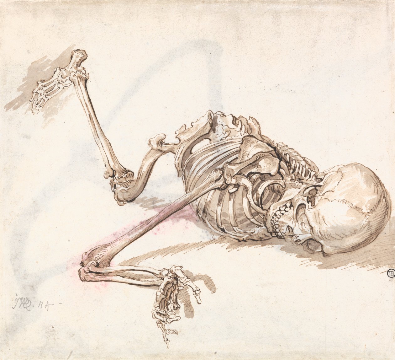 Ludzki szkielet autorstwa James Ward
