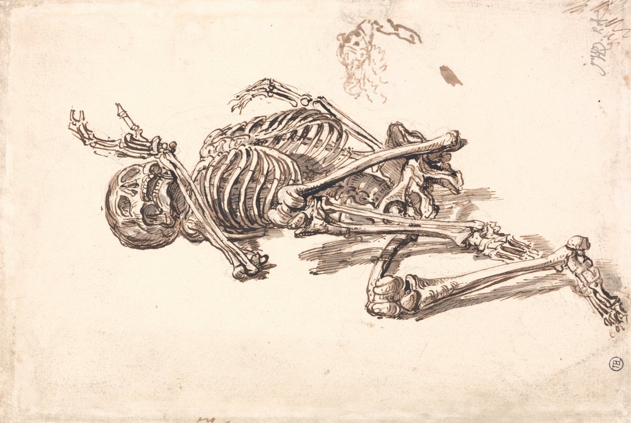 Ludzki szkielet autorstwa James Ward