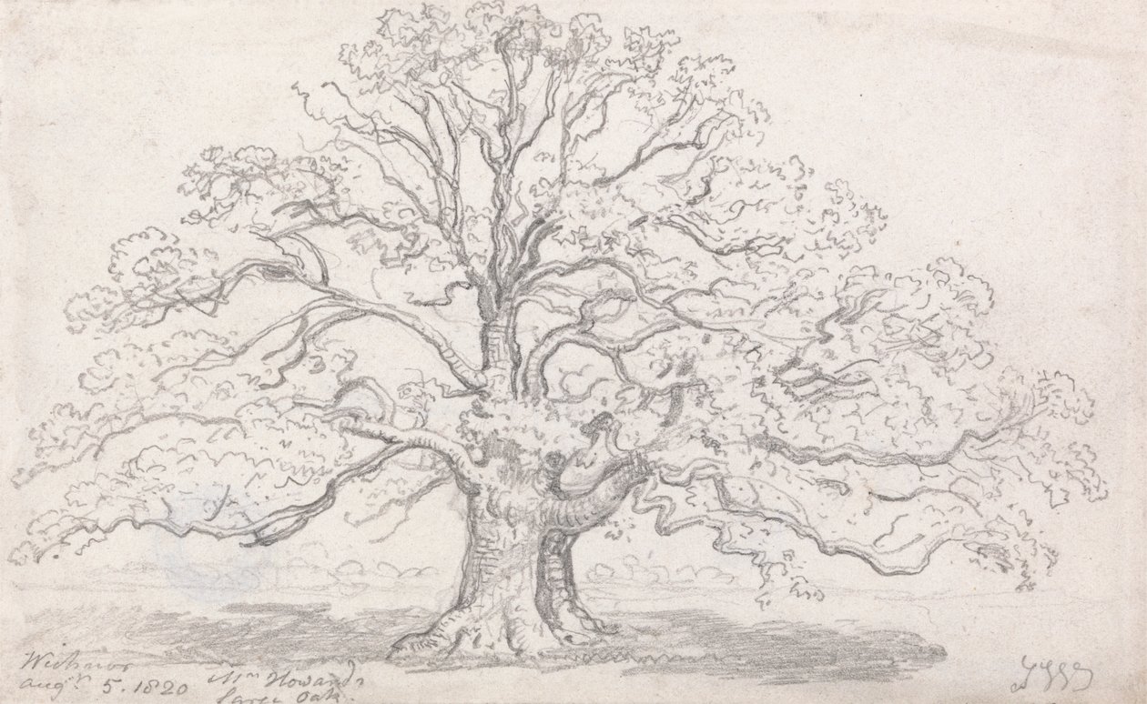 Duży dąb pana Howarda, 5 sierpnia 1820 r autorstwa James Ward