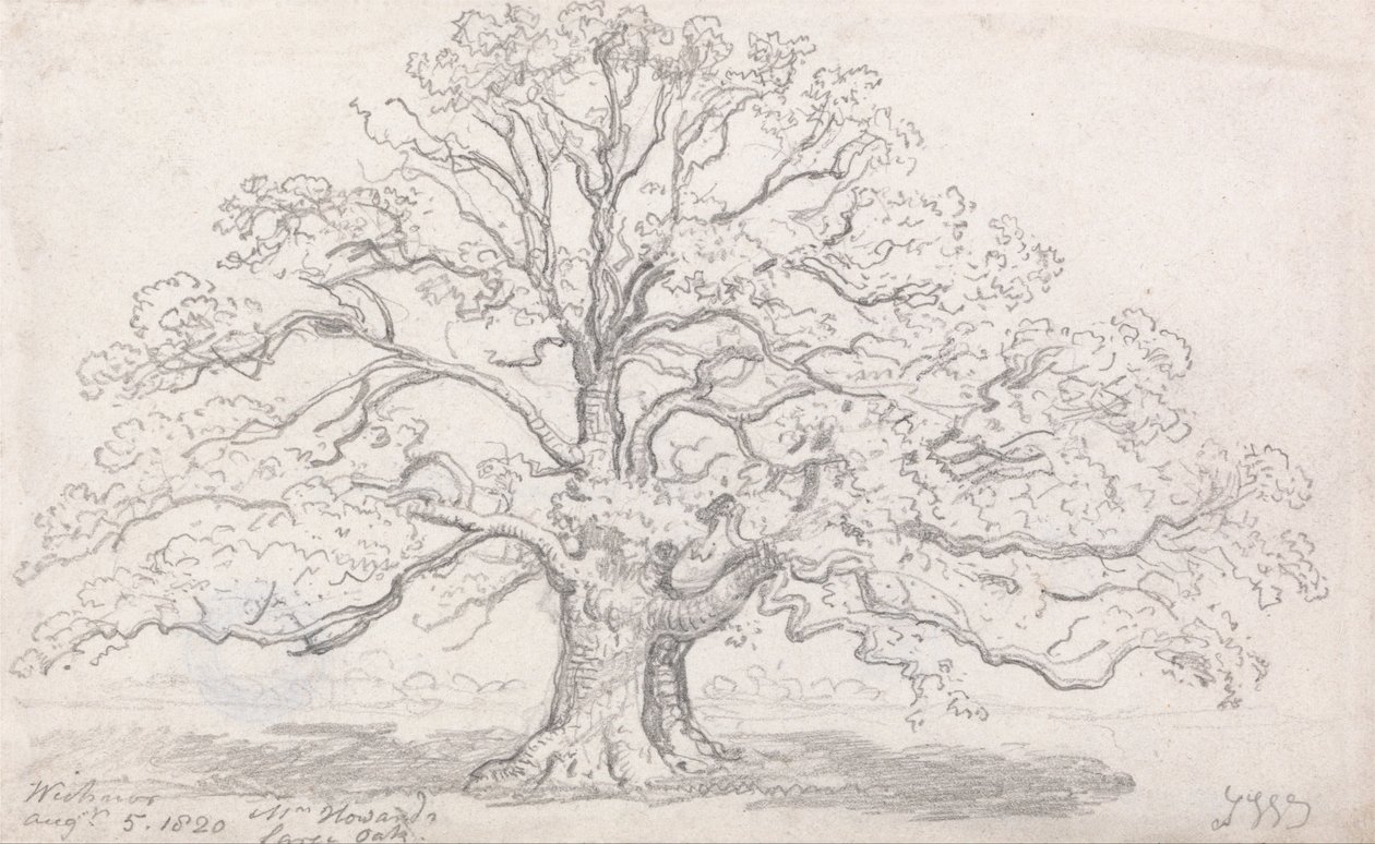 Duży dąb pana Howarda, 5 sierpnia 1820 r. autorstwa James Ward