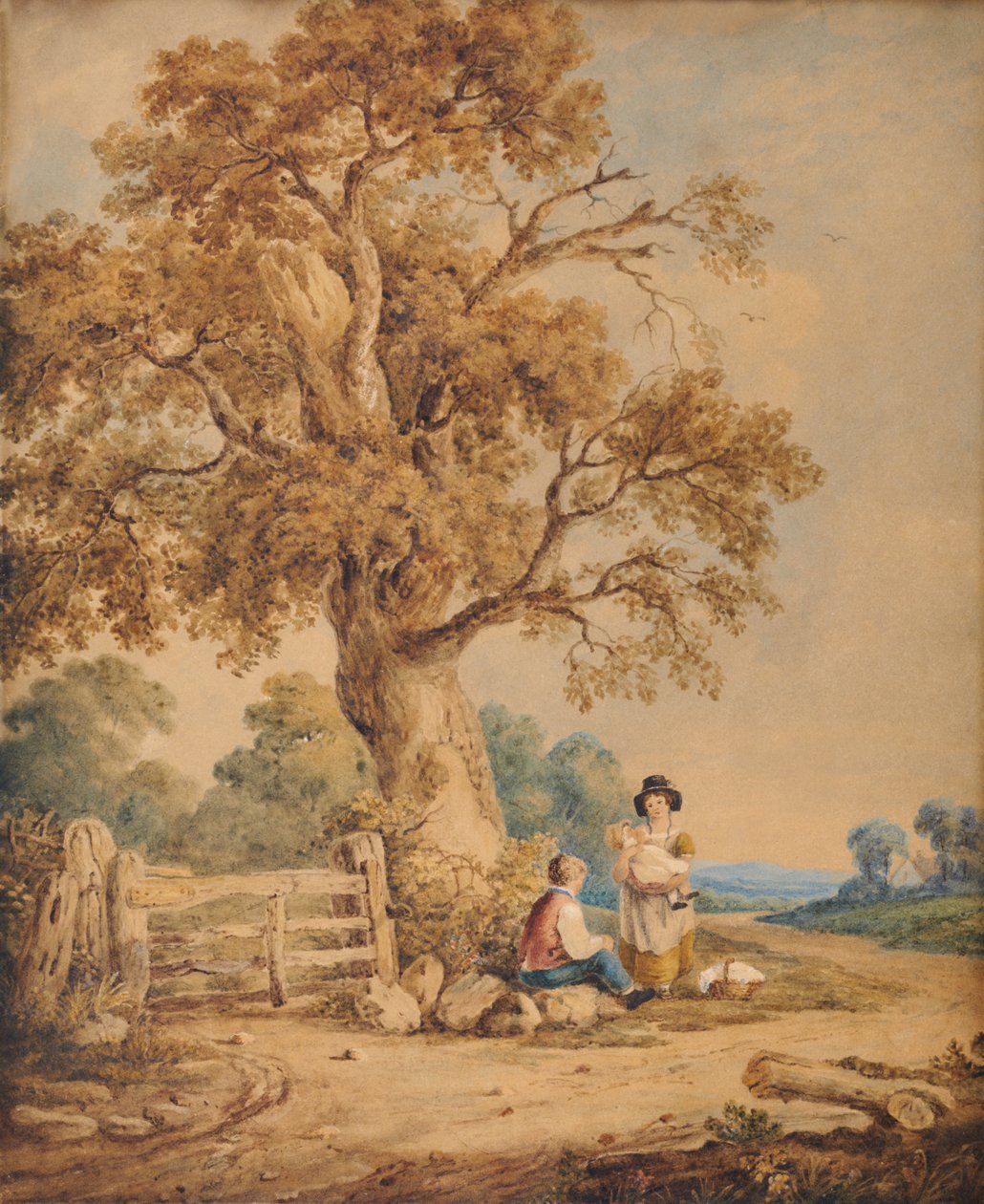 Scena wiejska autorstwa James Ward