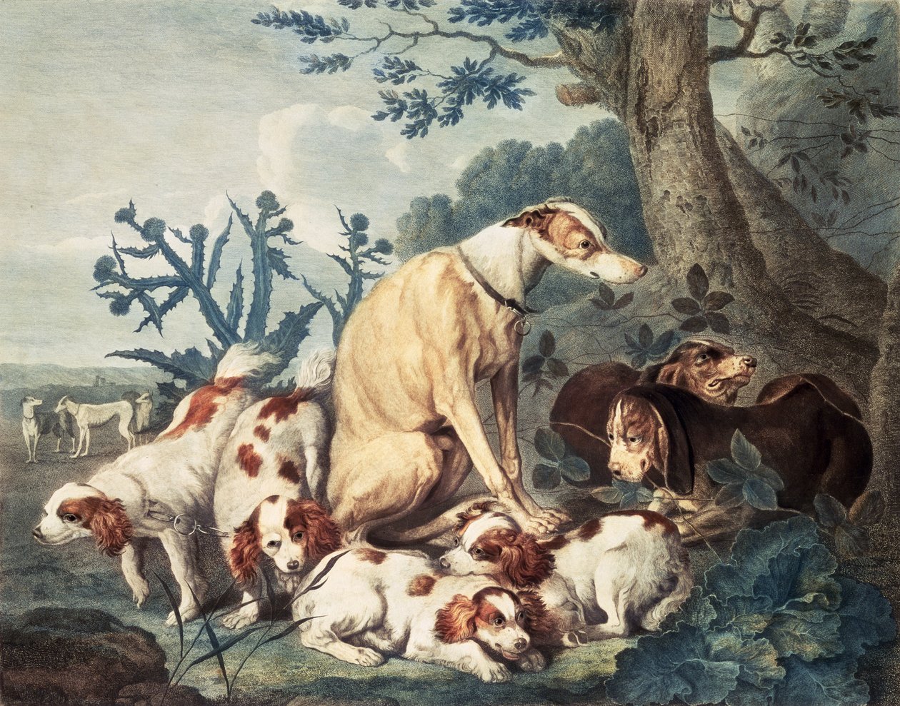 Portrety psów, sztychowane przez Daniela Lerpiniere (ok.1745-85), wyd. John und Josiah Boydell, 1799 (Grawerowanie kropkowane) autorstwa Jan Fyt