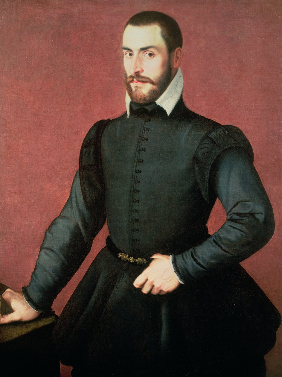 Portret młodego mężczyzny we wnętrzu autorstwa Jan Stephen van Calcar