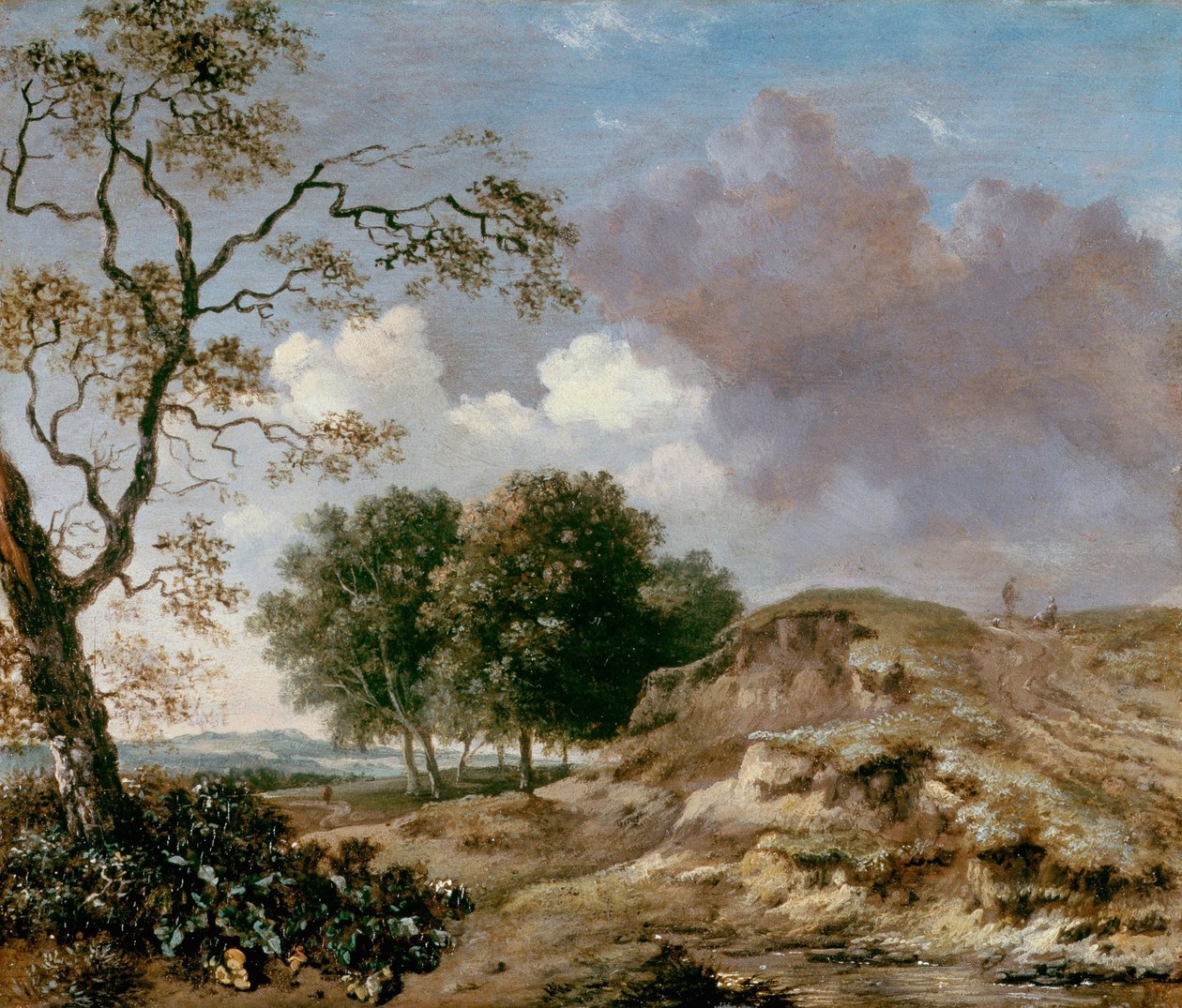 Krajobraz autorstwa Jan Wijnants