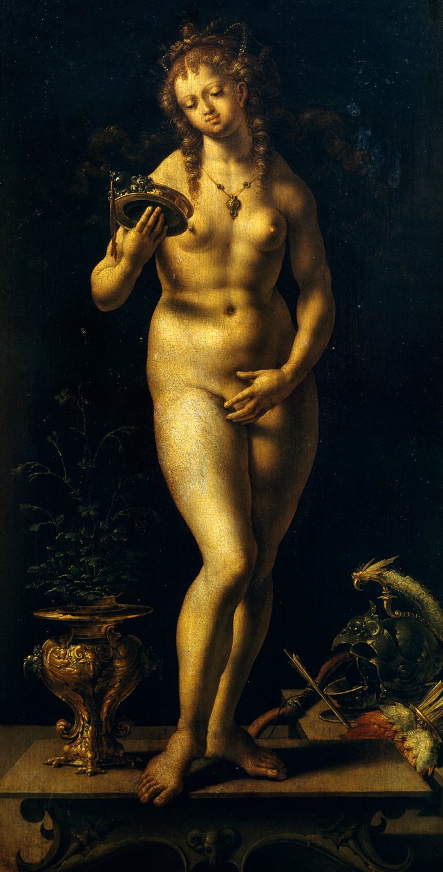Wenus (olej na panelu) autorstwa Jan (c.1472 c.1533) Gossaert