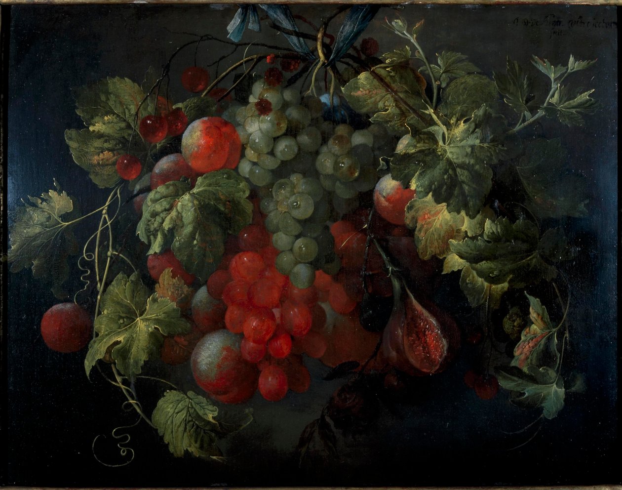 Holenderski: Festoon of Fruit autorstwa Jan Davidsz. de Heem
