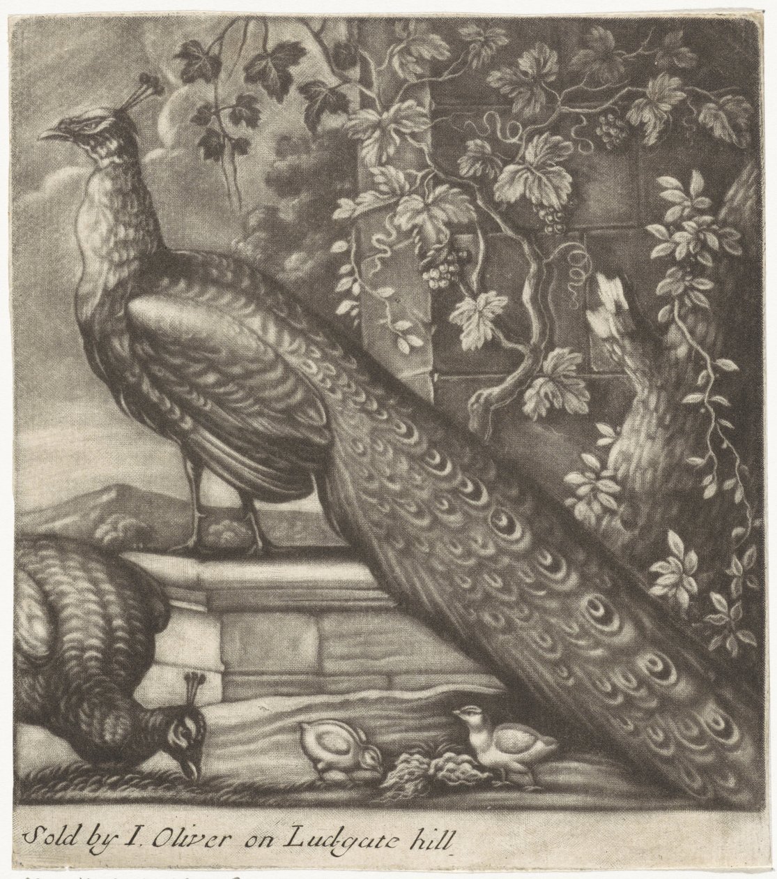 pawie autorstwa Jan Griffier (I)