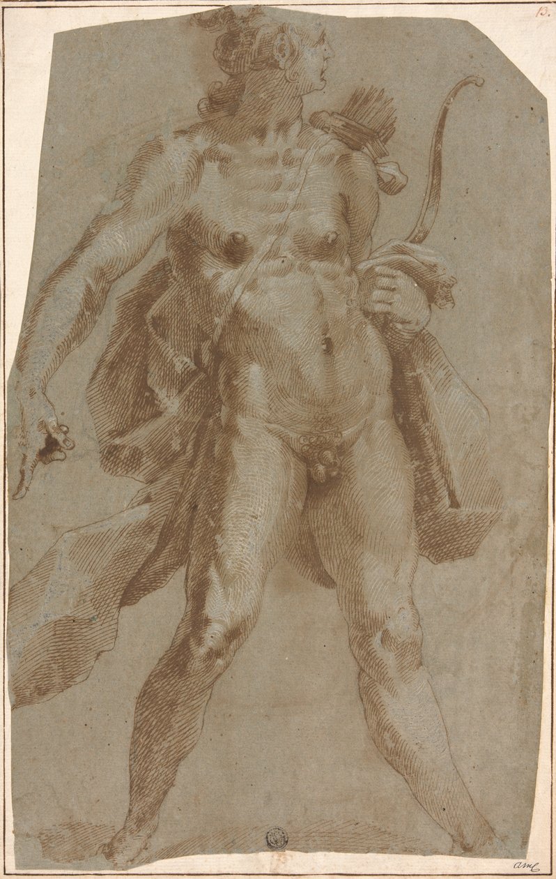 Apollo autorstwa Jan Harmensz. Muller