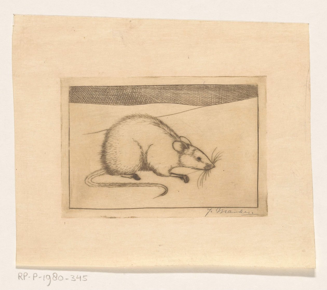 Mysz autorstwa Jan Mankes (signed by artist)