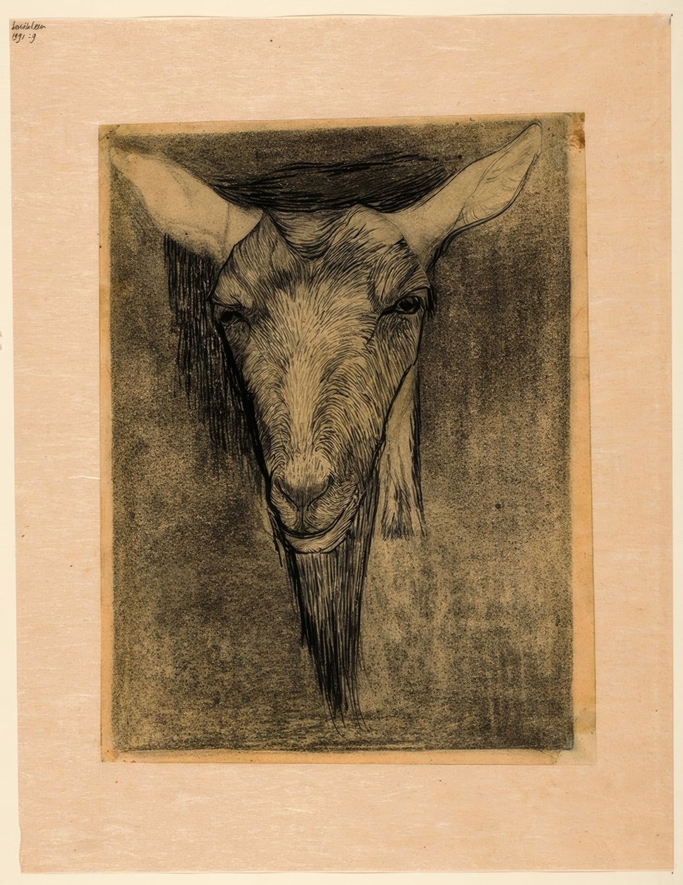 Głowa kozła autorstwa Jan Mankes