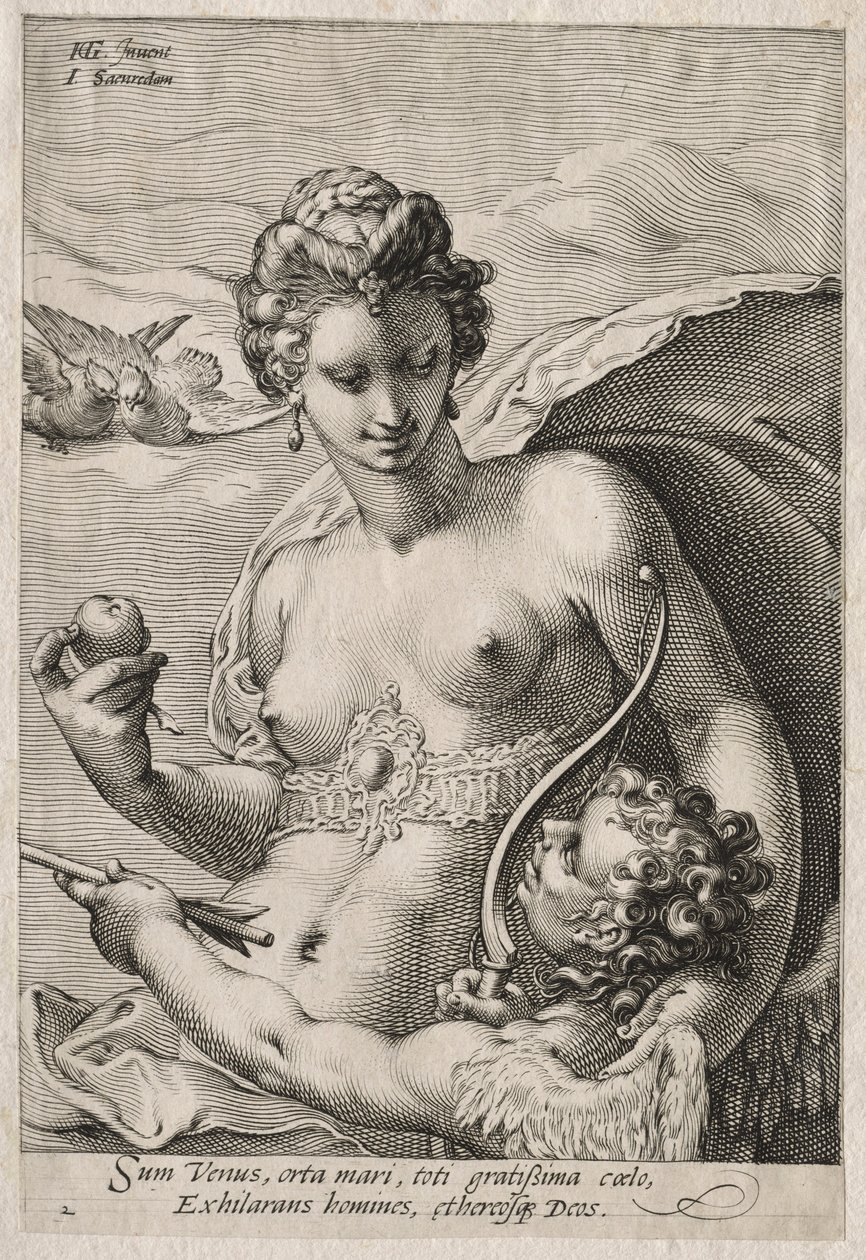 Wenus i Kupidyn, ok. 1595. autorstwa Jan Saenredam