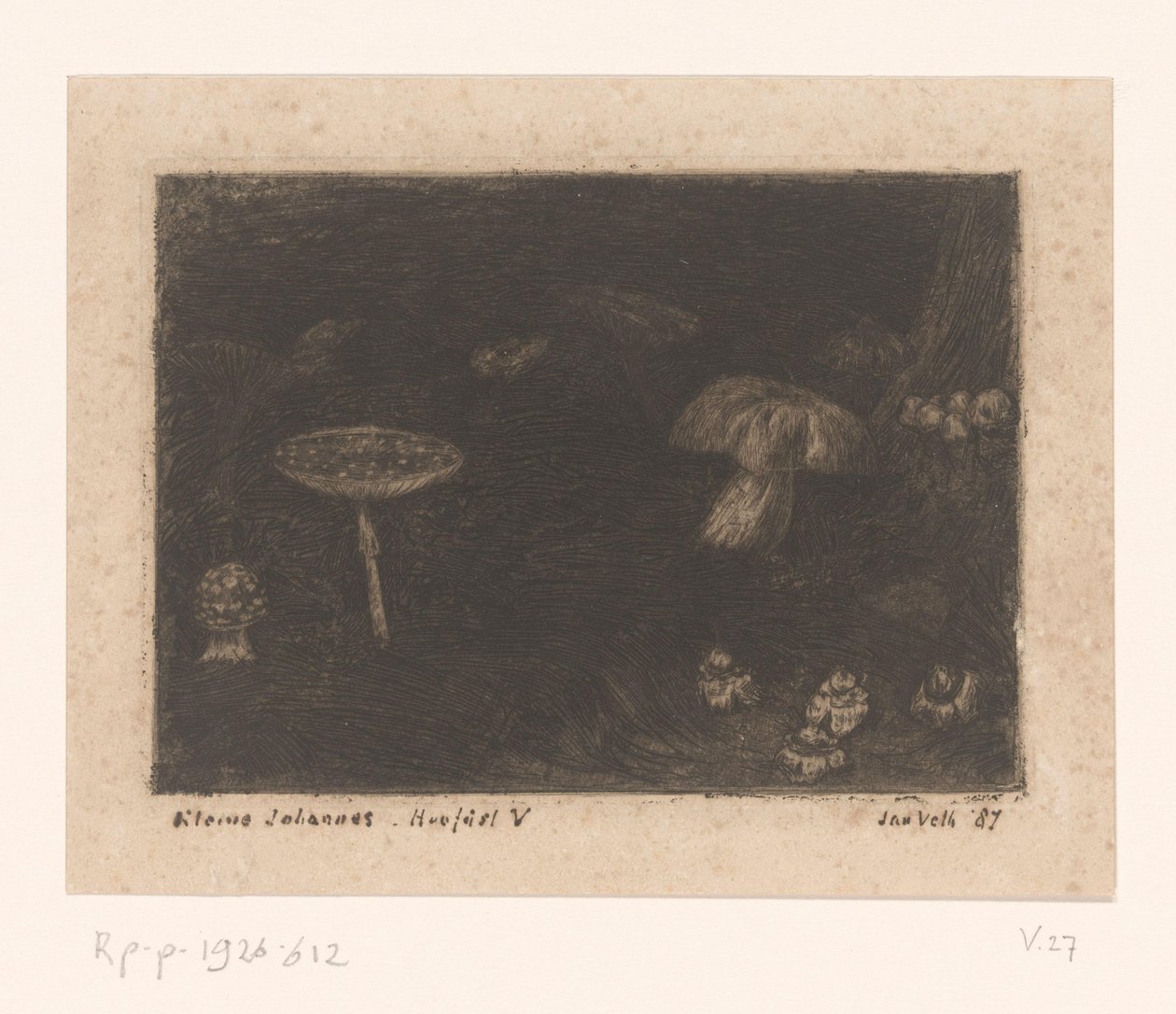 grzyby autorstwa Jan Veth (signed by artist)