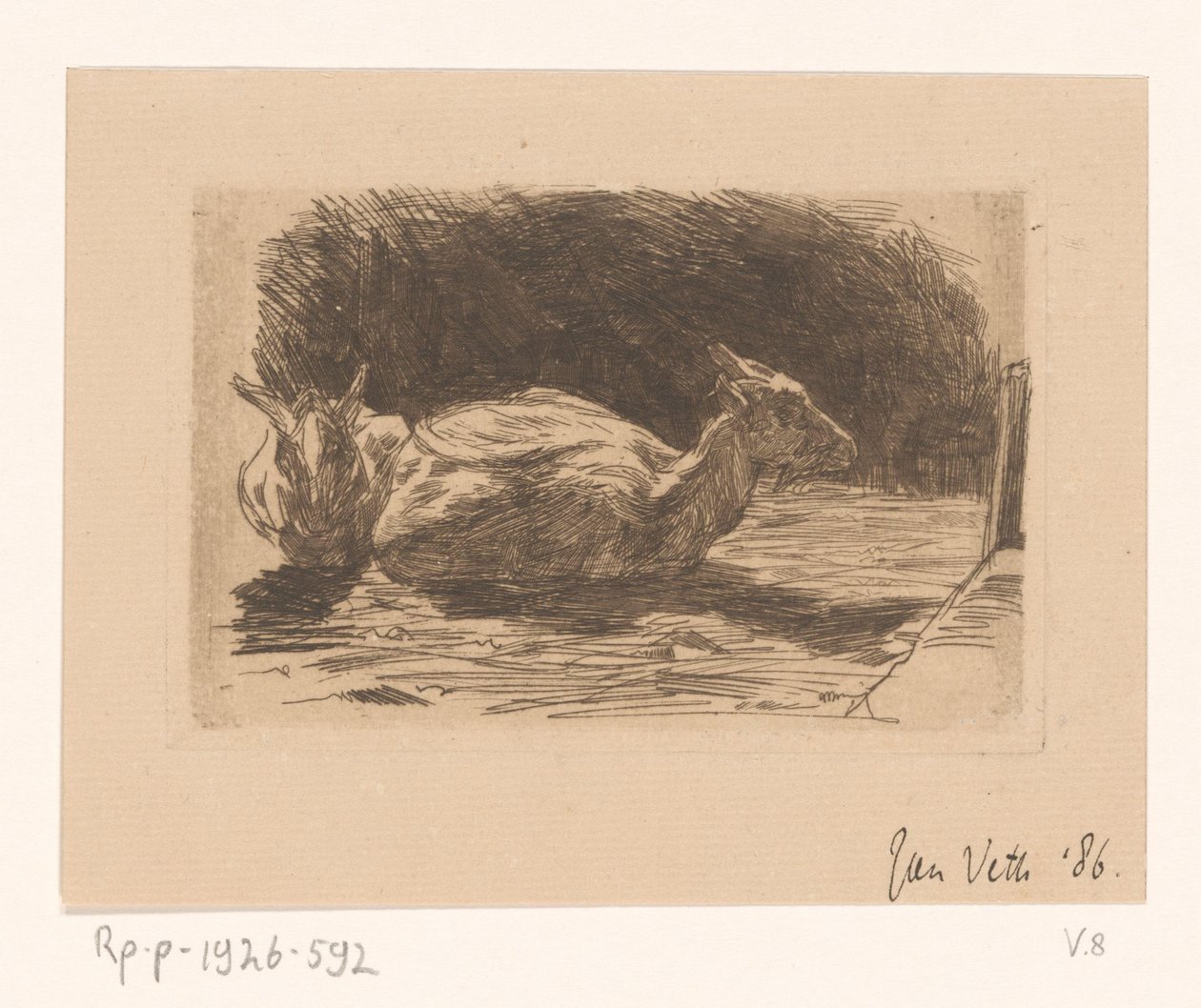Dwie kozy autorstwa Jan Veth (signed by artist)