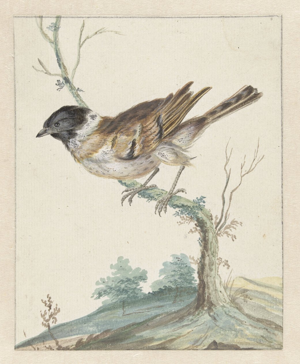 Rietgory (?) autorstwa Jan Baptist Weenix