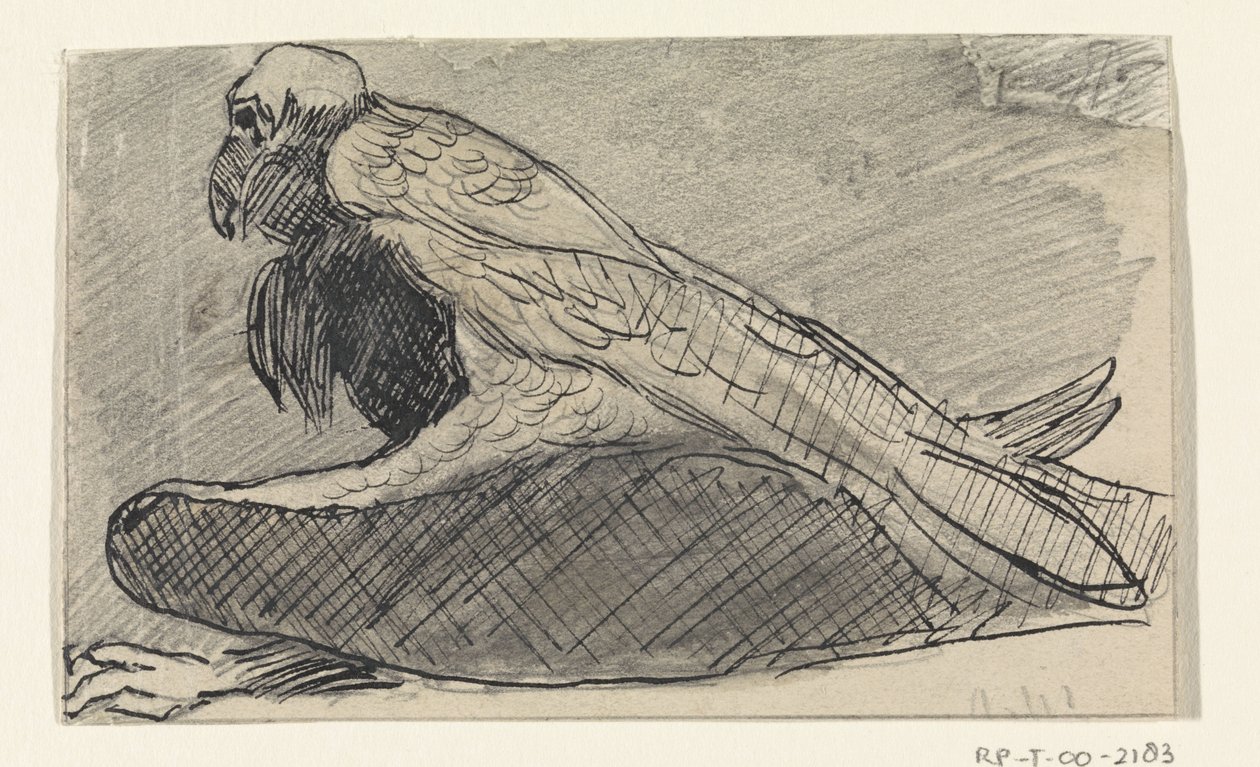 siedzący sęp autorstwa Jan van Essen