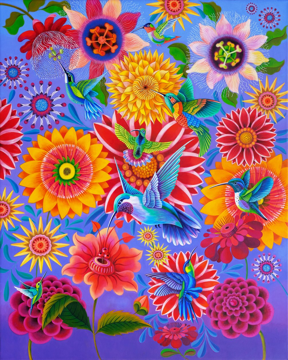 Kolibry, 2024 (olej na płótnie) autorstwa Jane Tattersfield