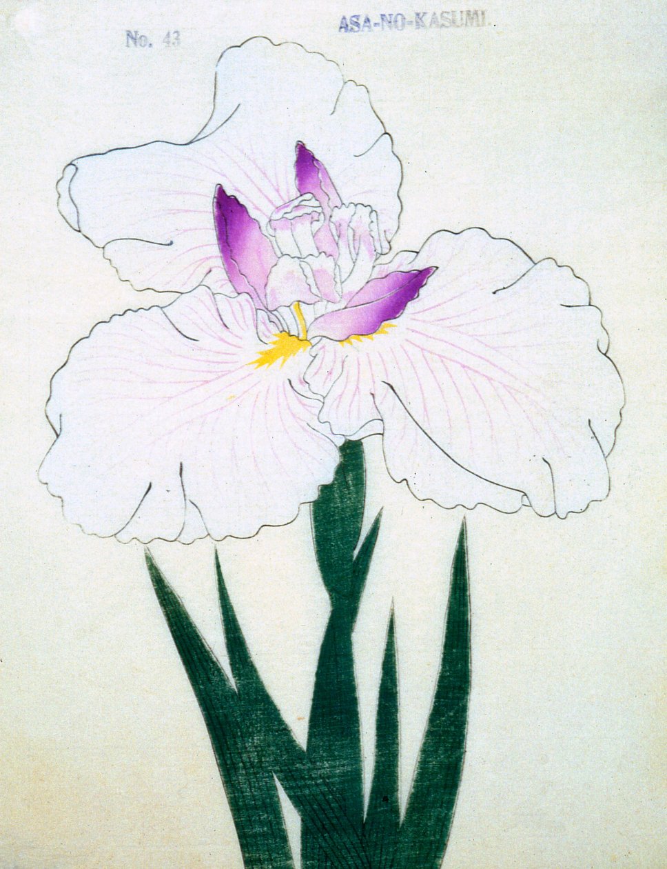 Płytki. -Kasumi Arimura. 43, 1898 r autorstwa Japanese School