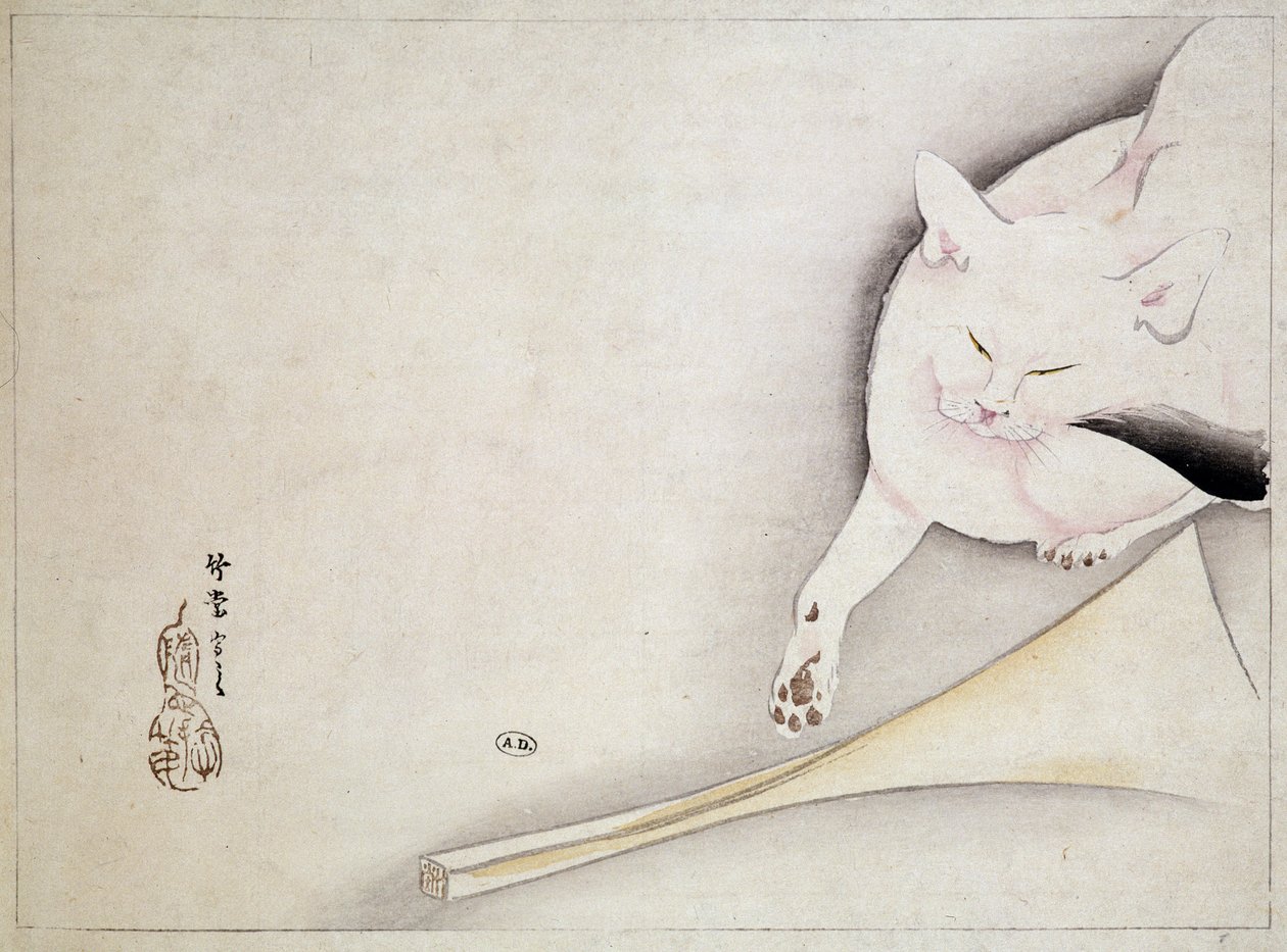 Kot, rysunek japoński, b.d. 19 wiek. autorstwa Japanese School