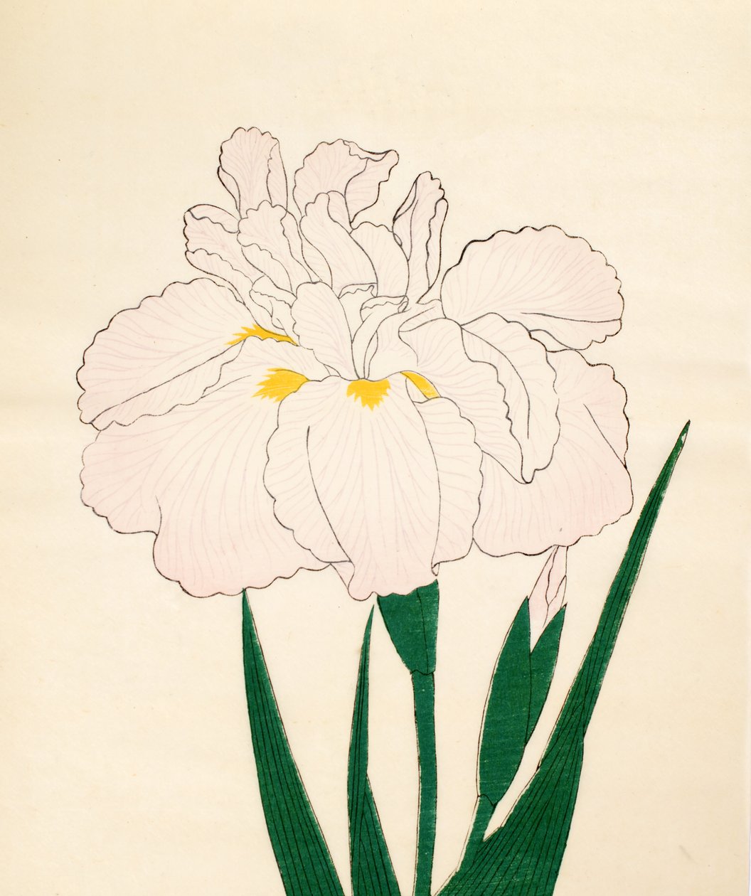 En-Yo-No-Ten, nr 73, 1890 (drzeworyt kolorowy) autorstwa Japanese School