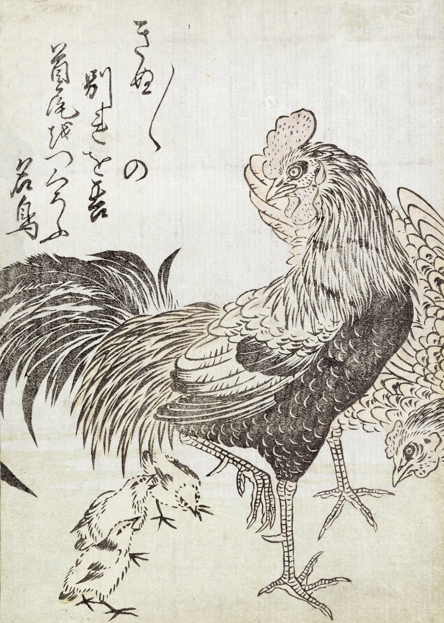 Kura, kogut i kurczaki (drewnodruk) autorstwa Japanese School