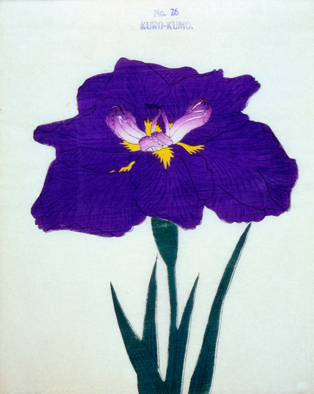Płaszcz też. 26, 1898 r autorstwa Japanese School