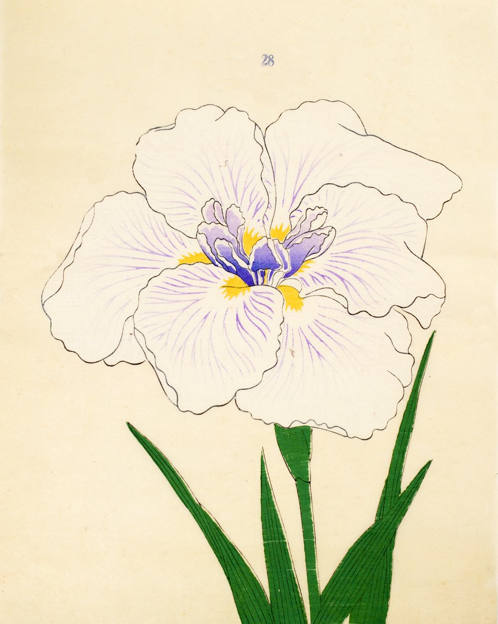 Manozuru, z. 28, 1890 r autorstwa Japanese School