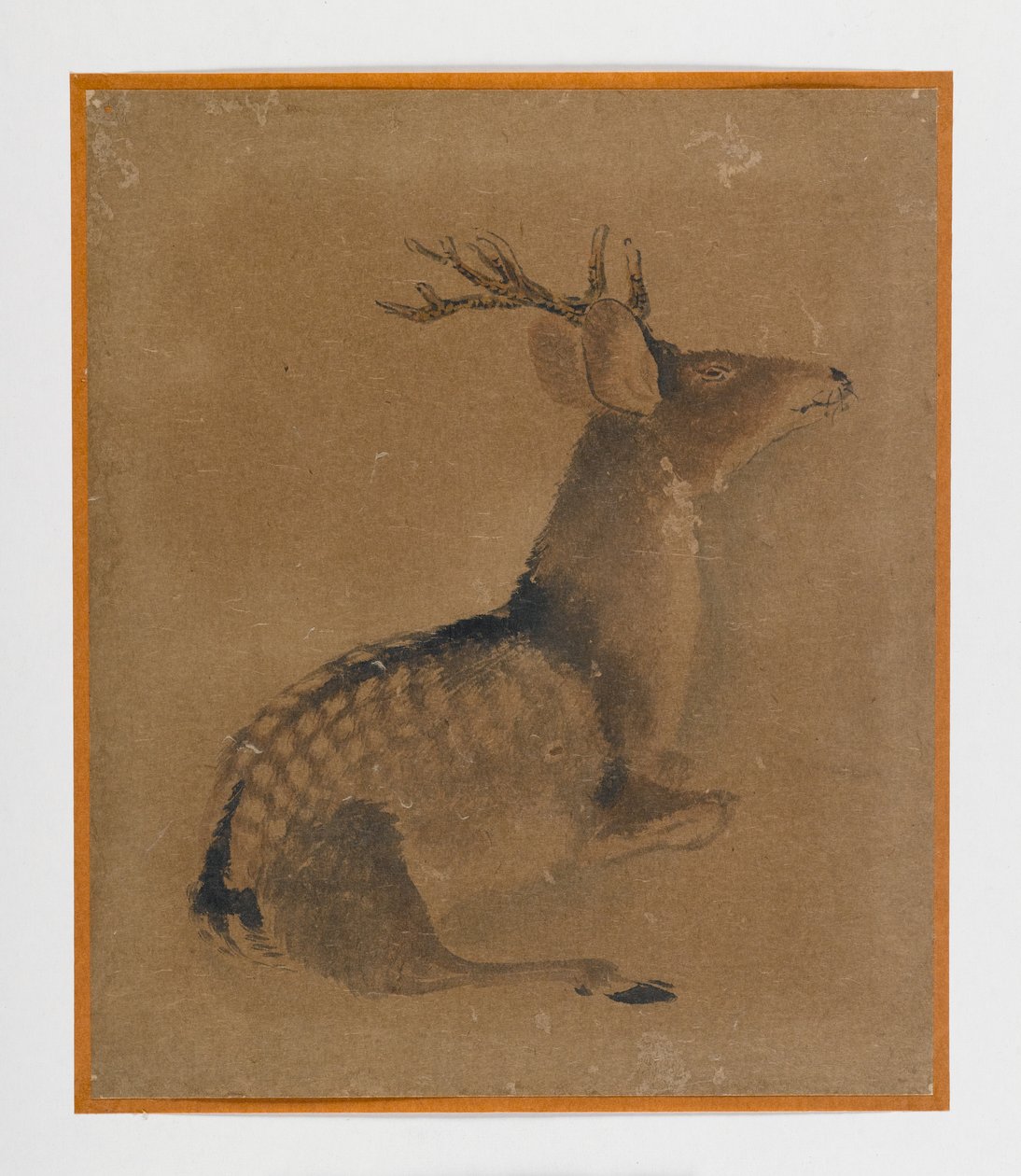 Jeleń leżący (atrament i sepia na papierze) autorstwa Japanese School