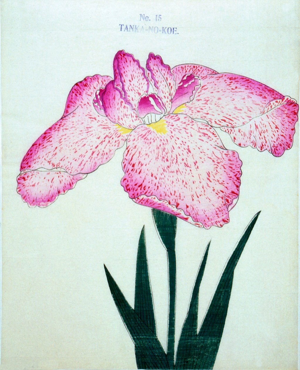 Cysterny. -Poza. 15, 1898 r autorstwa Japanese School