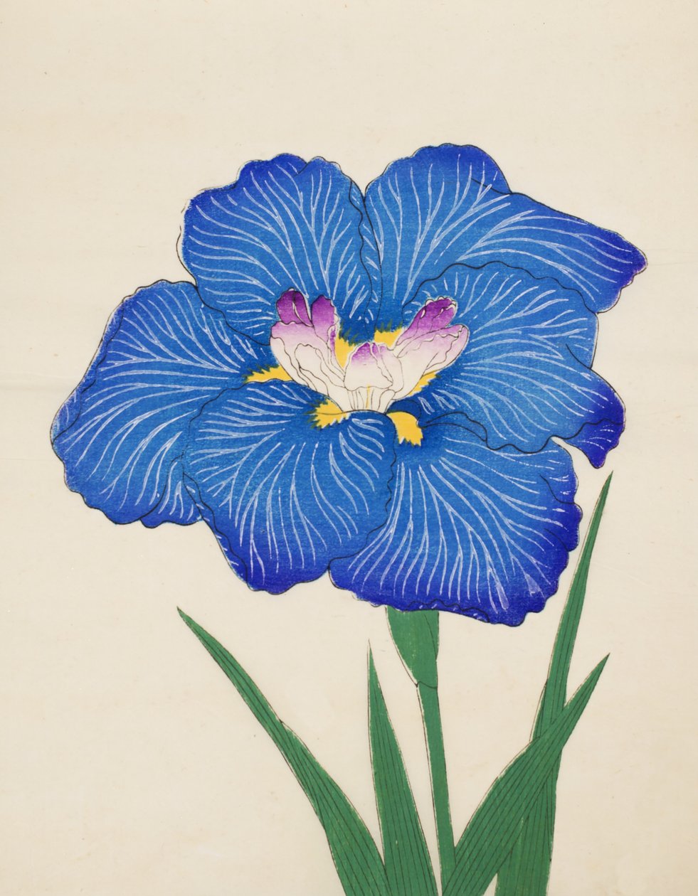 Krowa Ono. -Palić. 47, 1898 r autorstwa Japanese School
