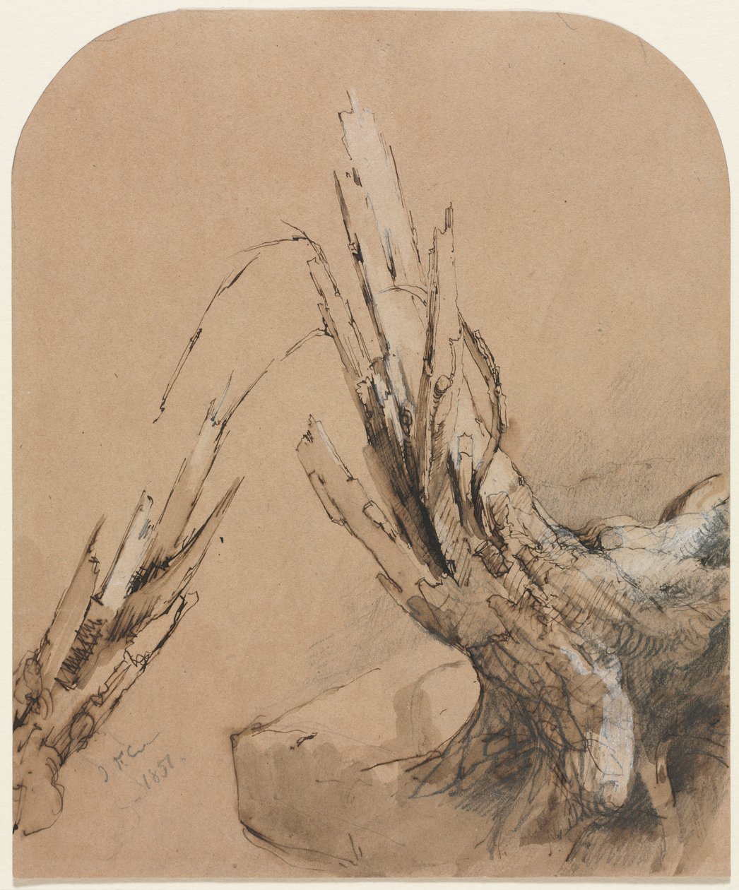 Przeklęte drzewo (recto) autorstwa Jasper F. Cropsey