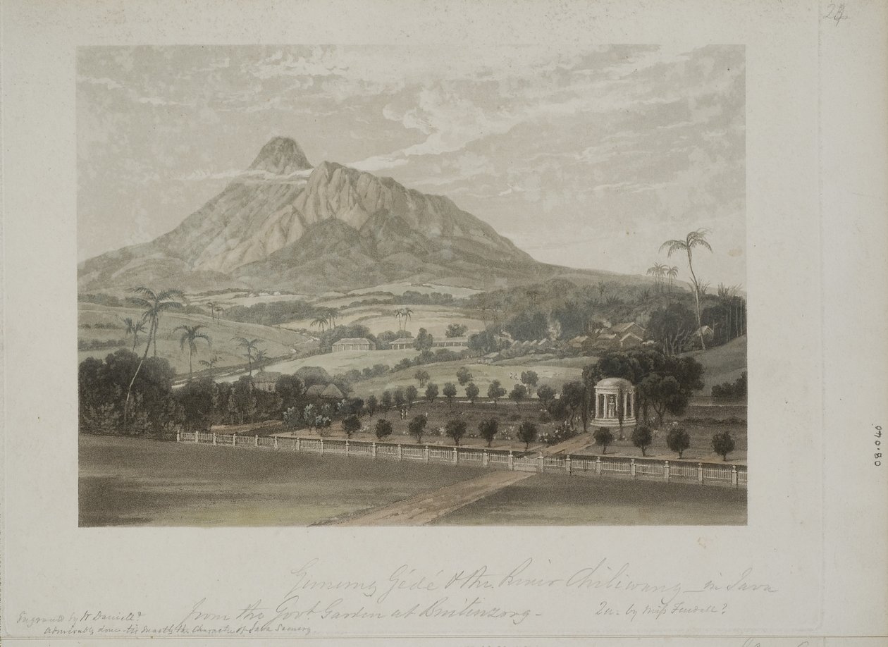 Ogród w Buitenzorg (akwatinta) autorstwa Javanese School