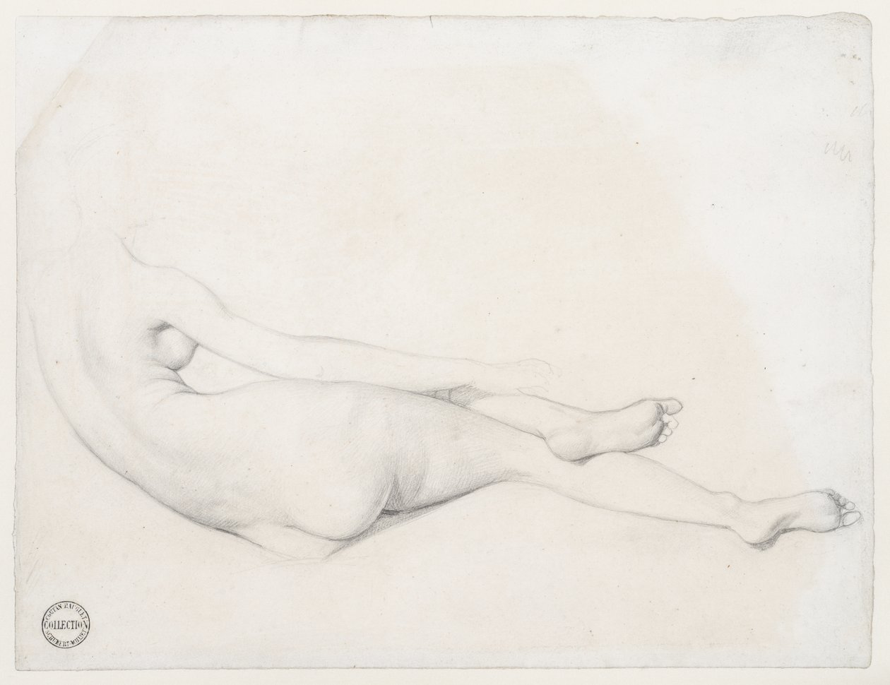 Studium dla La Grande Odalisque, 1814 (grafit na papierze tkanym) autorstwa Jean Auguste Dominique Ingres