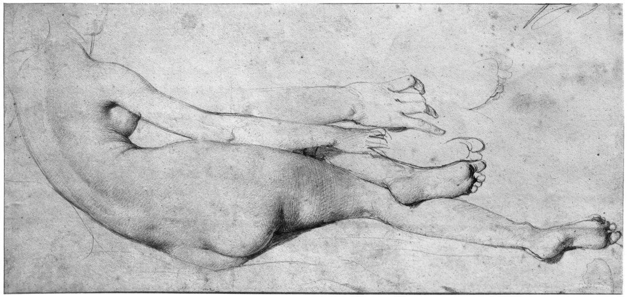 Studium do The Grande Odalisque (grafit na papierze) (patrz także 233244) autorstwa Jean Auguste Dominique Ingres