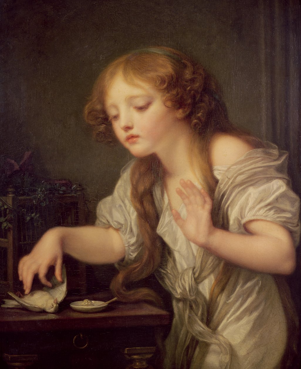 Martwy ptak autorstwa Jean Baptiste Greuze