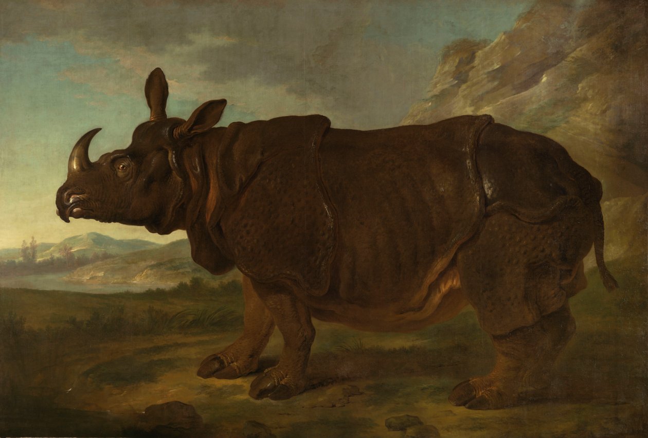 Nosorożec Klara w Paryżu w 1749 r. autorstwa Jean Baptiste Oudry