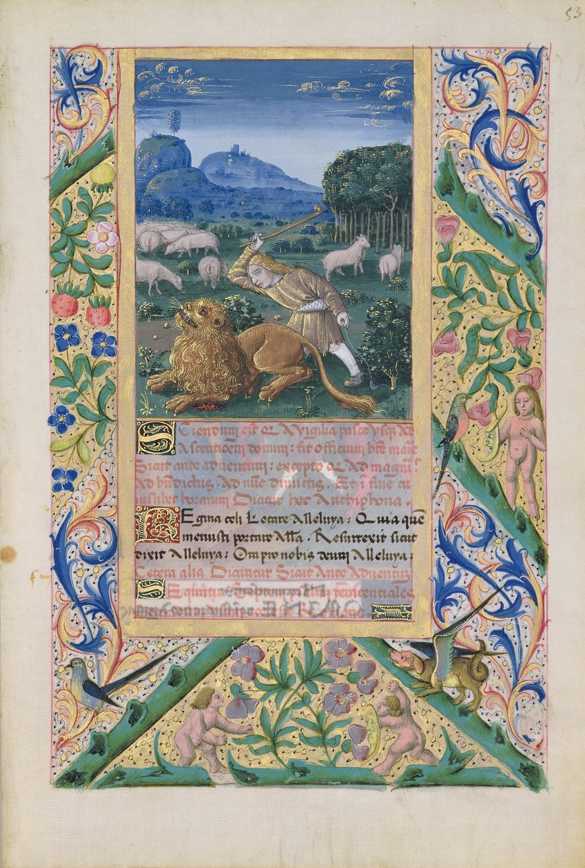 Ms Lat. Q.v.I.126 f.53 Dawid broniący owiec swego ojca przed lwem, z "Księgi godzin Ludwika Orleańskiego", 1469 r. autorstwa Jean Colombe