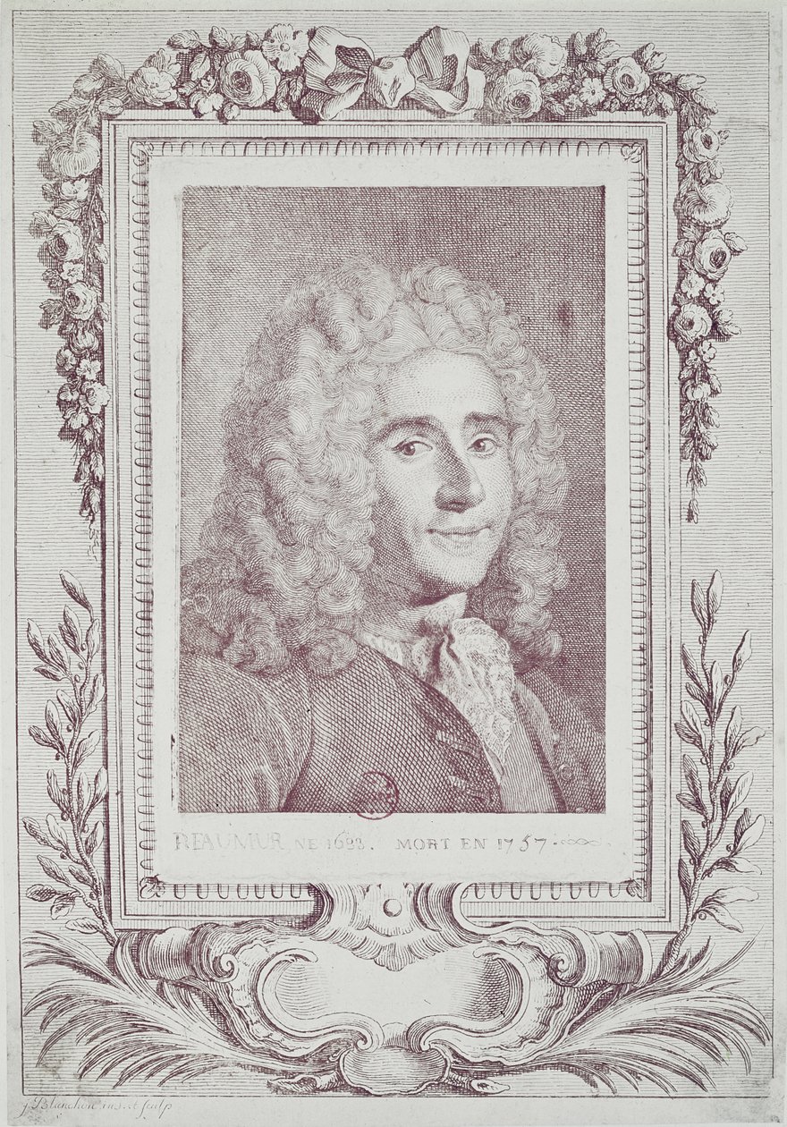 Rene Antoine Ferchault de Reaumur (1683-1757) autorstwa Jean Guillaume Blanchon