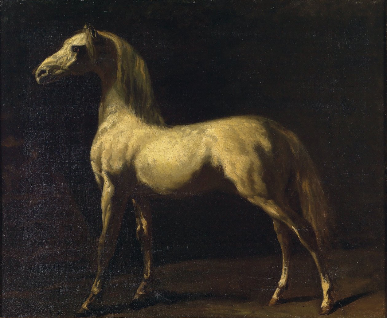Stojący koń autorstwa Theodore Gericault