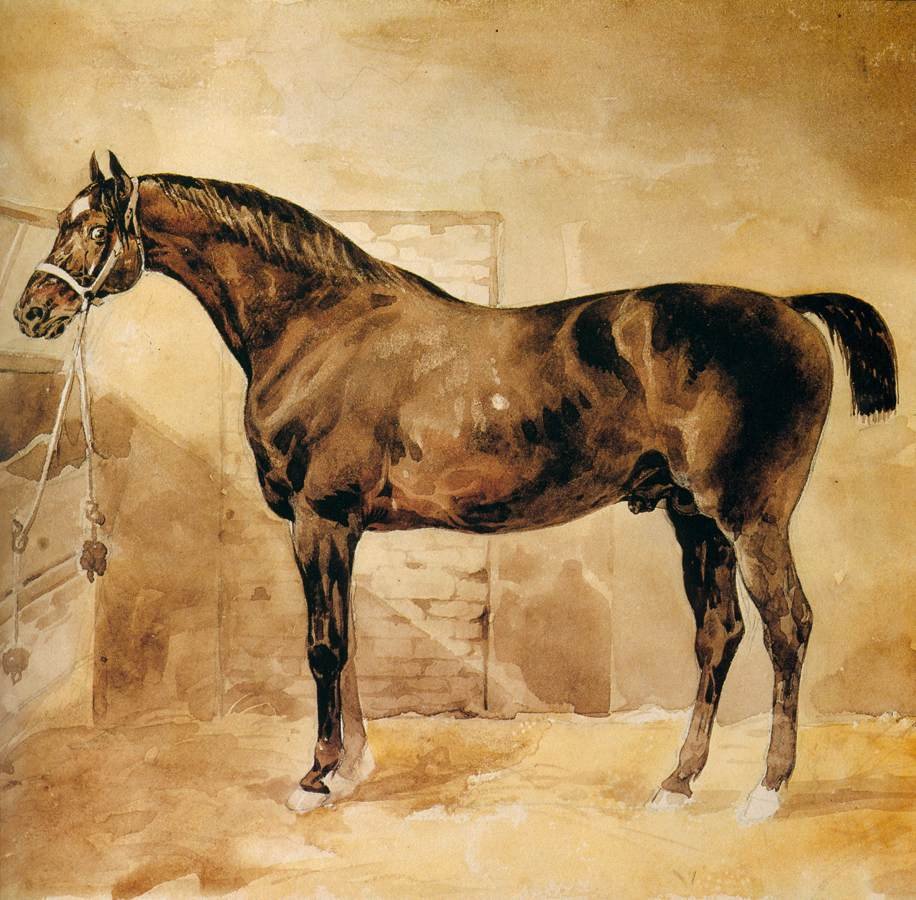 Angielski koń w stajni autorstwa Theodore Gericault