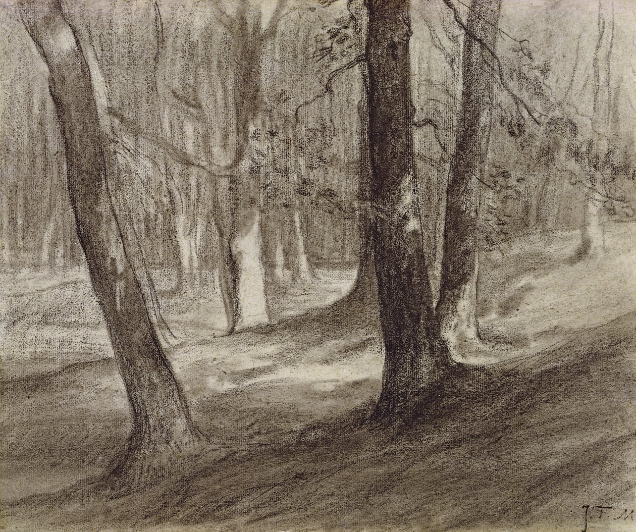 Drzewa w lesie (węgiel) autorstwa Jean Francois Millet