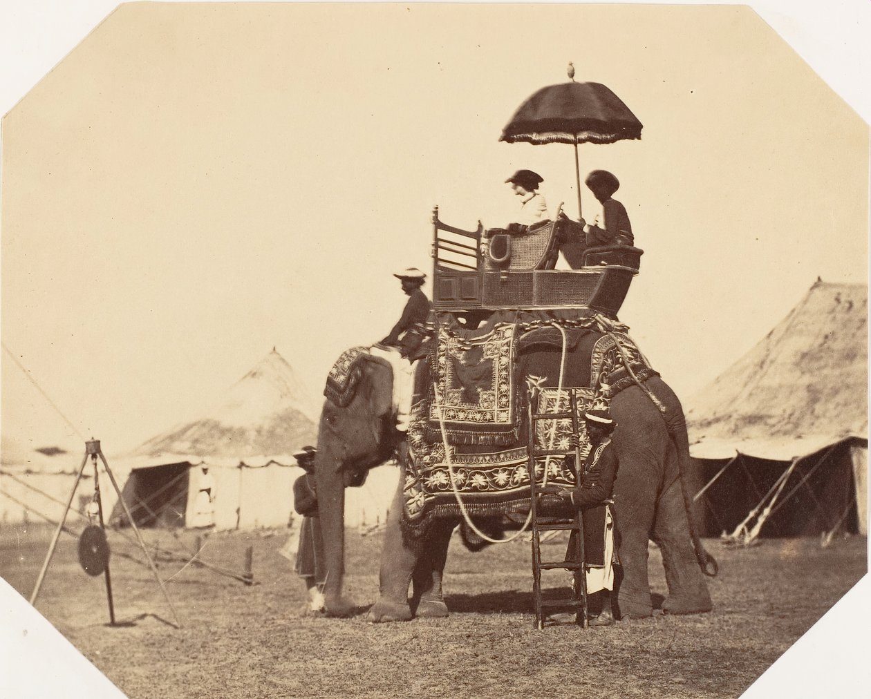 [Lady Canning], 1858-61. autorstwa Jean Baptiste Oscar Mallitte
