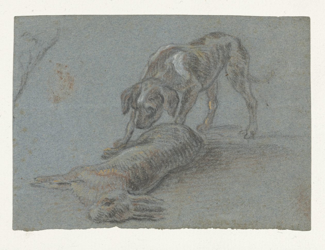 Pies ze strzałem zająca autorstwa Jean Baptiste Oudry (possibly)