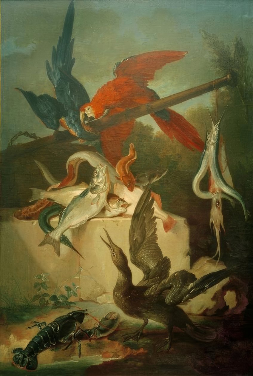 Ryby, ptaki morskie i papugi autorstwa Jean Baptiste Oudry