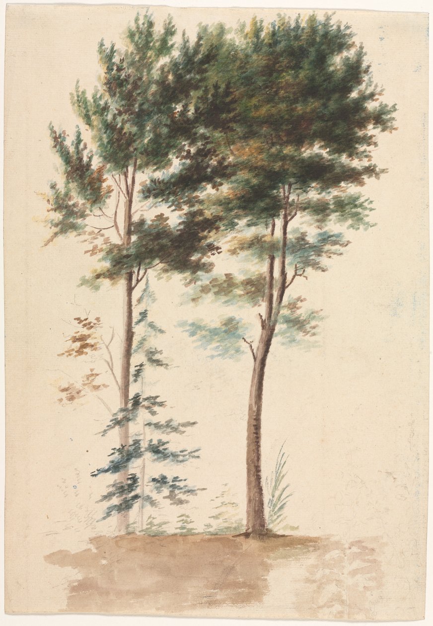 Drzewa, XVIII wiek. autorstwa Jean Baptiste Pillement