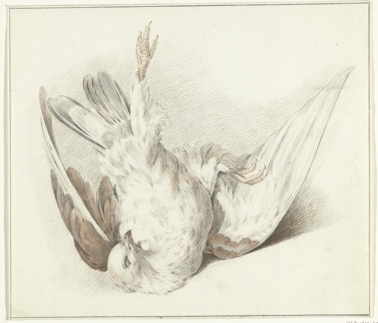 martwy gołąb autorstwa Jean Bernard